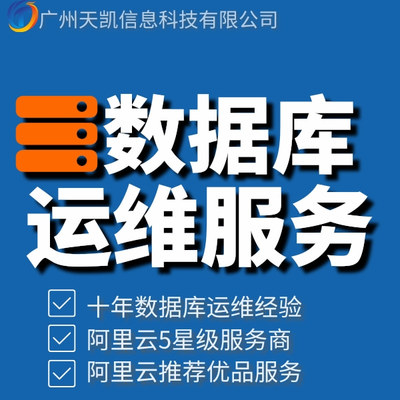 数据库运维服务 数据库月度巡检 数据库服务器安全代维包年服务
